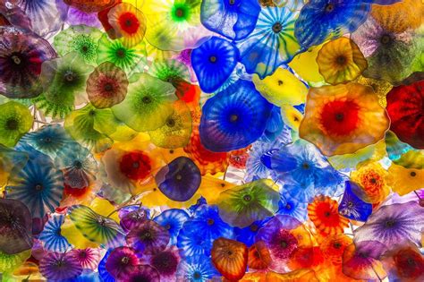 chully|ABOUT DALE CHIHULY